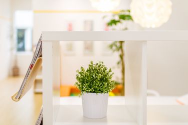 ソーラーフロンティアプロショップ仙台 店内